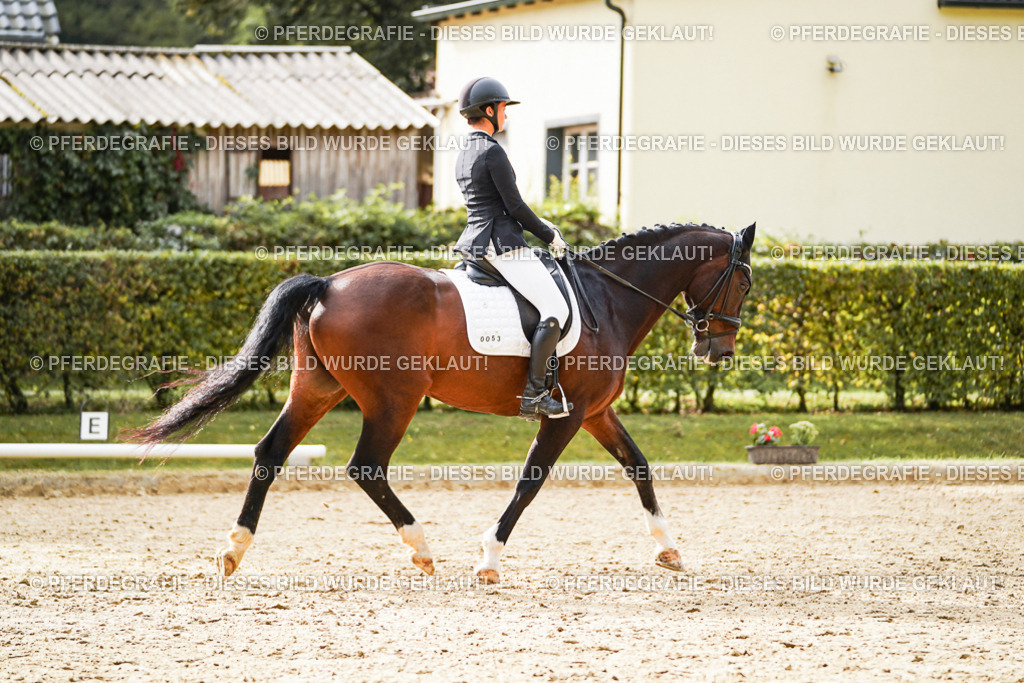 DSC09798 | Pferdegrafie