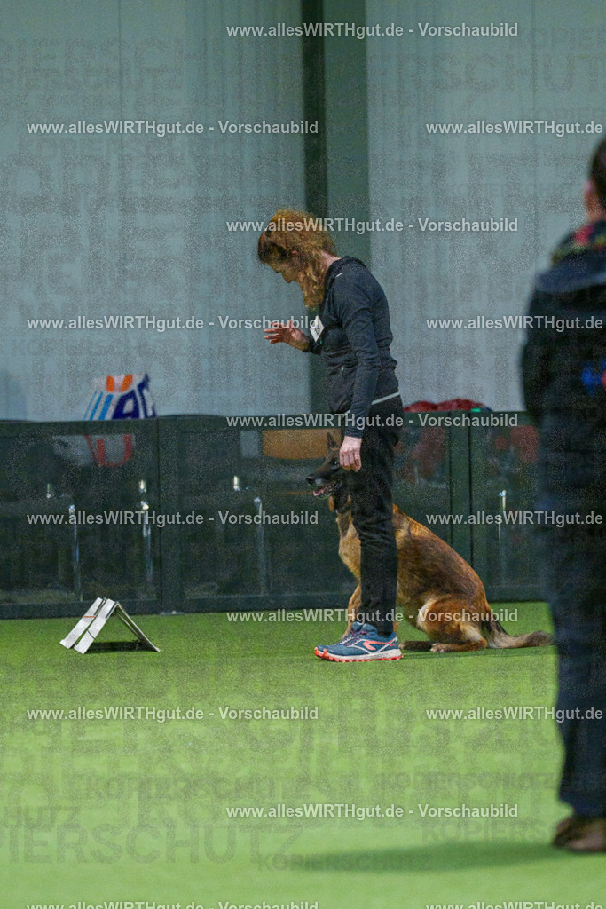 7R505618 | Professionelle Tierfotografie in Mönchengladbach von Daniel Wirth (allesWIRTHgut). Liebevolle & natürliche Bilder von Hunden & Katzen für unvergessliche Erinnerungen.