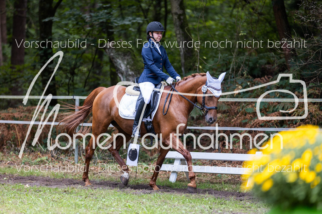 HB-Dressur-WB-079 | MomenTaufnahmen Pferdesportfotos