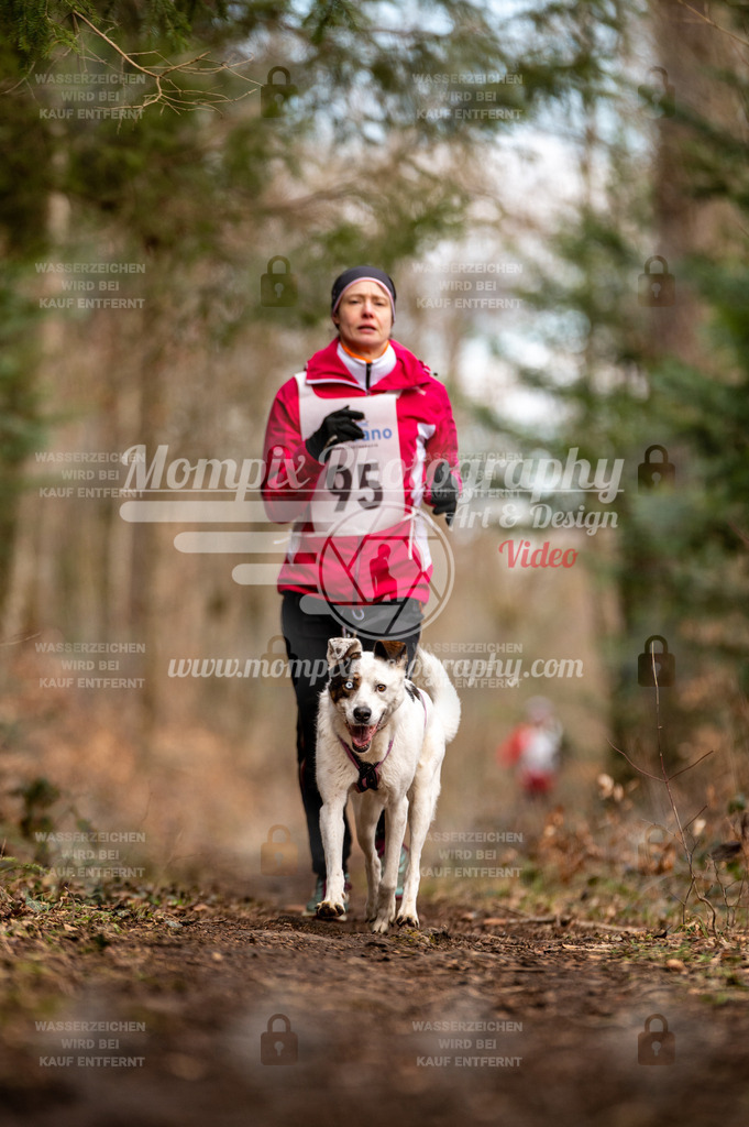 Reiat2023_SAM_CaniXRun_8km_W-13 | PayLife