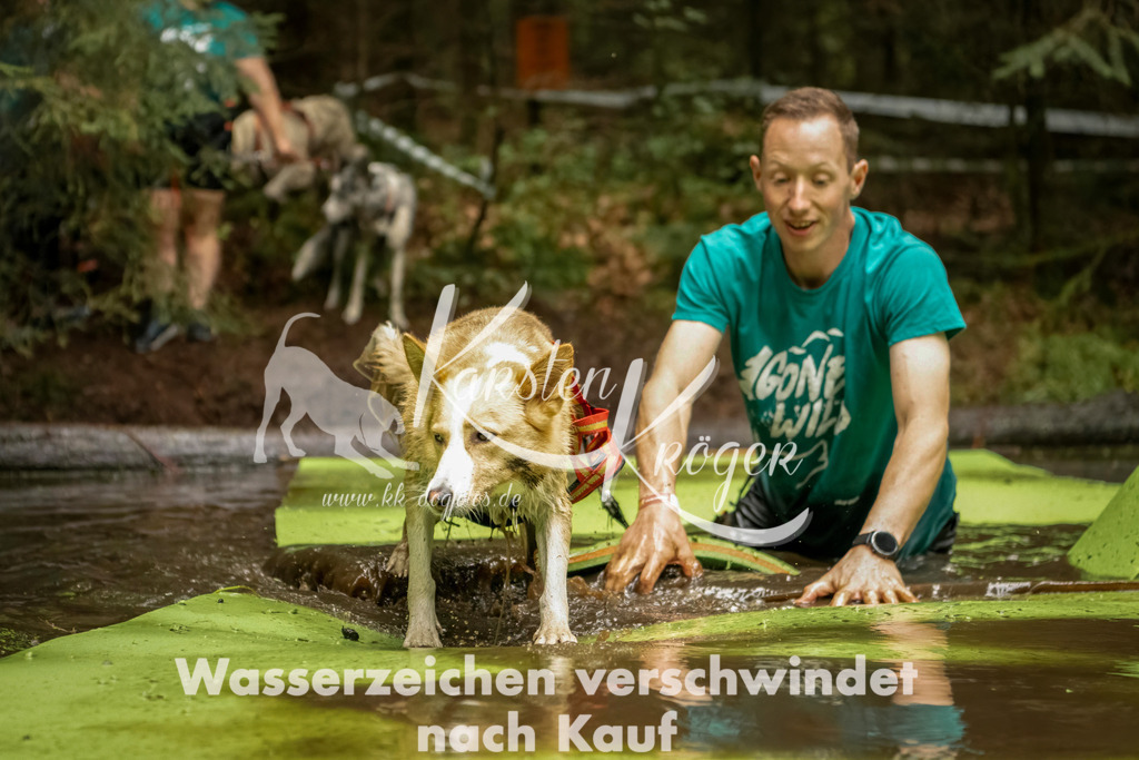 1202_ZZ92428-Bearbeitet | kk-dogfotos