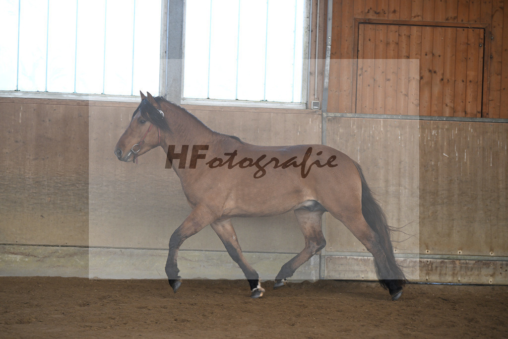 Kat-Nr. 12 Tapadero v. Tape Isidoro_Seefried_49250466 | hf-fotografie - Realisiert mit Pictrs.com