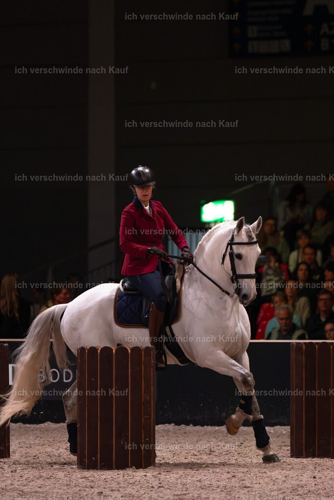 JoseraCup-104 | working equitationturnier fotograf videograf stoibphotography marixx film working equitation deutschland reitsport turnierfotografie eventfotografie equestrian events