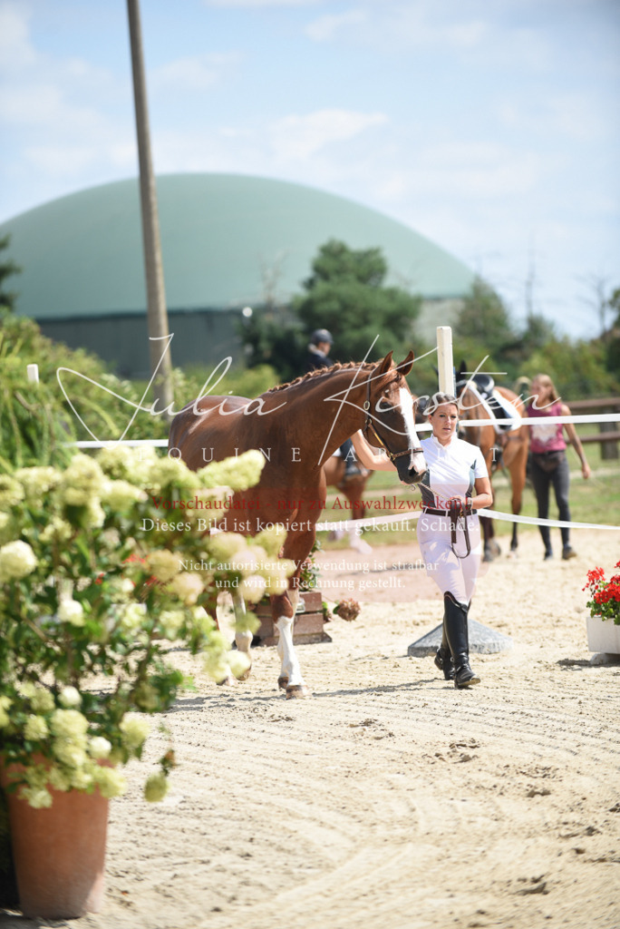 DSC_8966 | Pferde- und Turnierfotografie in Westsachsen. Pferdeportraits, Auftragszeichnungen und intuitive Kunst.