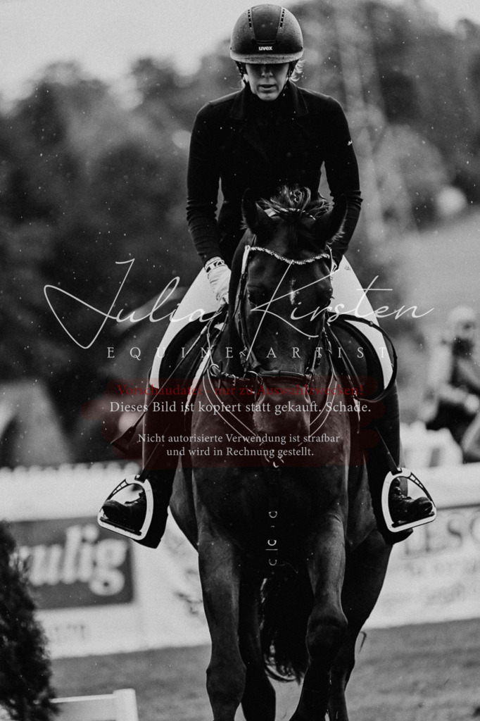 DSC_6569 | Pferde- und Turnierfotografie in Westsachsen. Pferdeportraits, Auftragszeichnungen und intuitive Kunst.