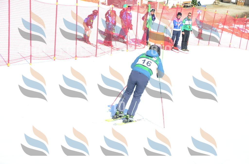 C6810 | holidayphoto