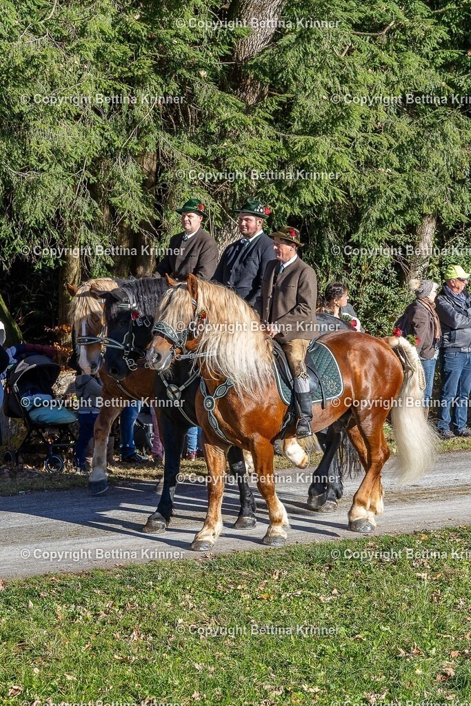 LBT25-771 | foto-bettina-krinner - Realisiert mit Pictrs.com
