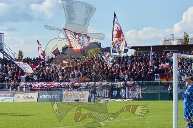 BFC Dynamo vs. FSV Zwickau 099 | mythos-online-redaktion