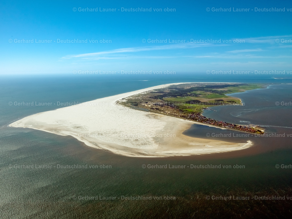 3091329 | Amrum, Nationalpark Schleswig-Holsteinisches Wattenmeer