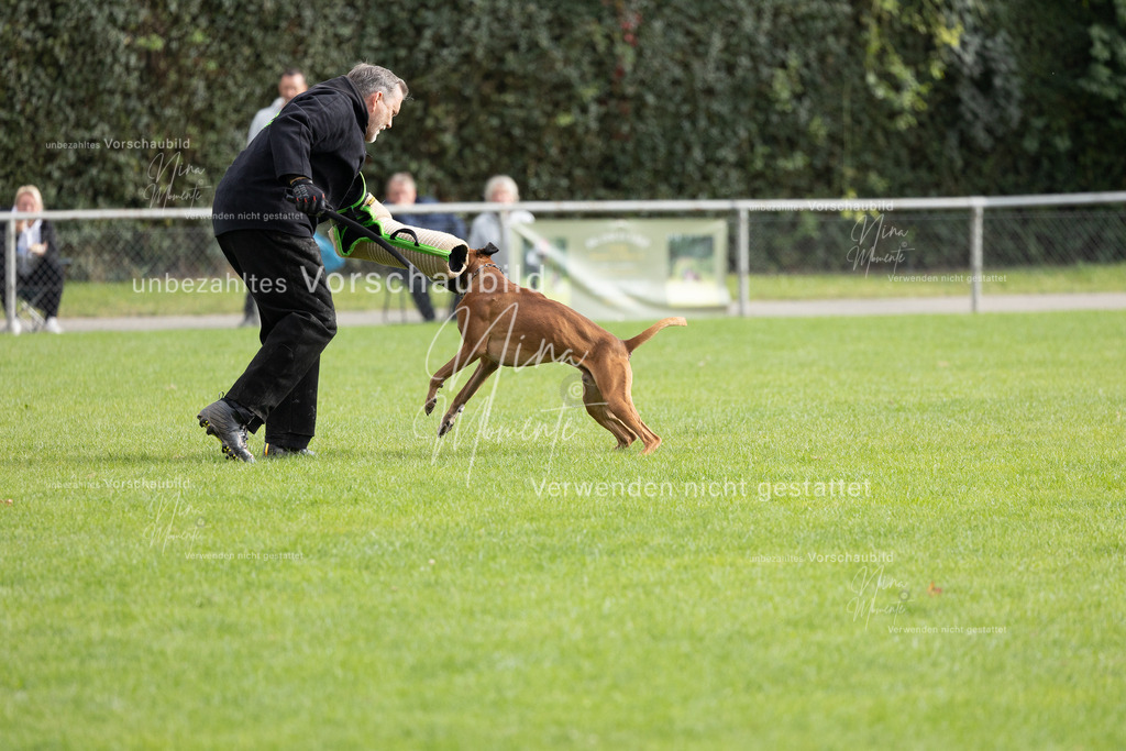 _16A7061 | Einzigartige Fotos von Hunden & Menschen –Actionfotos, Portraits, Vereinsaufnahmen & Paarshootings – authentisch, lebendig & mit Herz.
