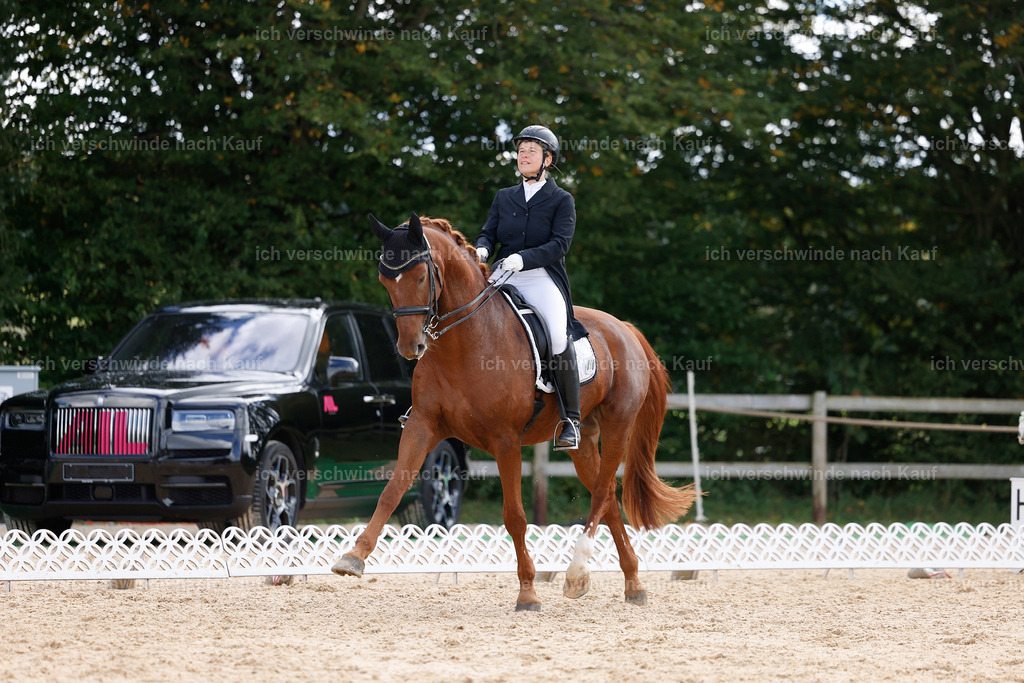 09_2-090-DRESSUR  S_  -StoibPH-5839 | working equitationturnier fotograf videograf stoibphotography marixx film working equitation deutschland reitsport turnierfotografie eventfotografie equestrian events