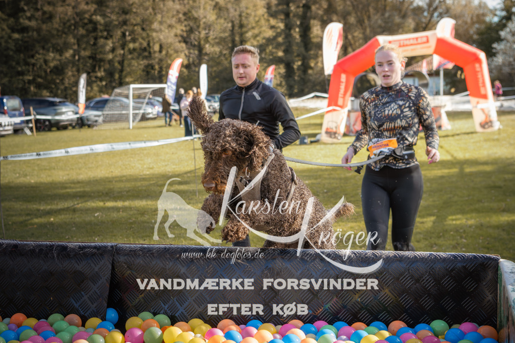 1316_ZZ99858-2 | kk-dogfotos