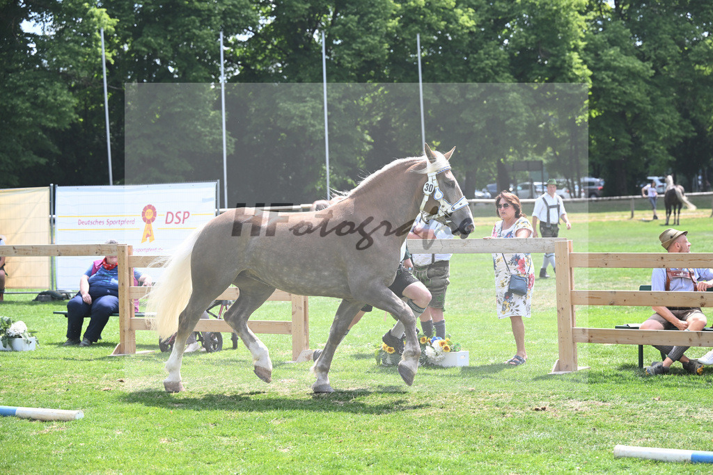 Kat-Nr. 30 Niagara_Bacher_20230457 | hf-fotografie - Realisiert mit Pictrs.com