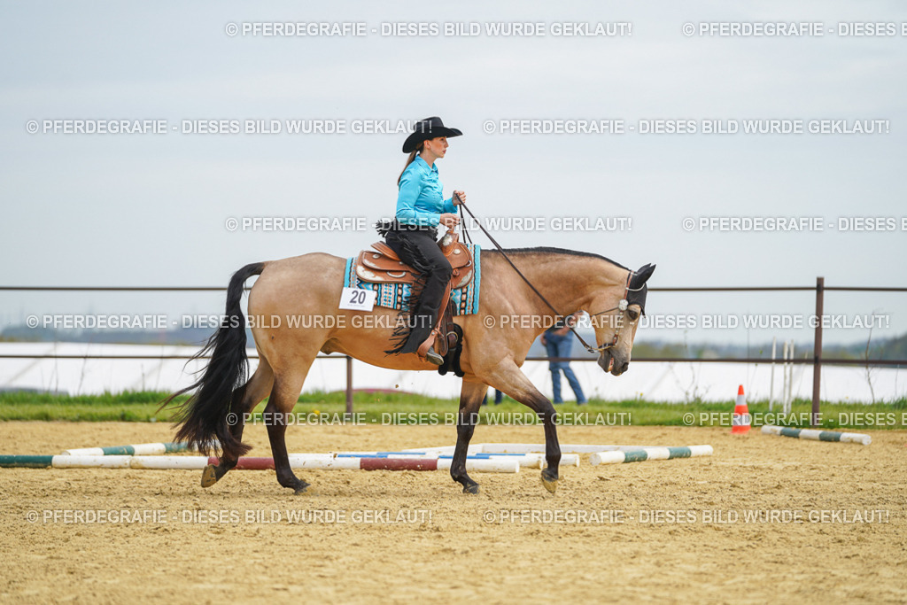 DSC03386 | Pferdegrafie