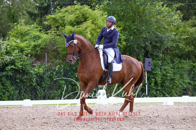 DKP41488 | Deine Turnierfotos vom Reitturnier online kaufen: Dressur, Springen & Siegerehrung. Professionelle Pferdefotografie aus dem Rheinland – als Download & Print.Alternative: Turnierfotograf für den Pferdesport: Finde deine Fotos von Dressur- und Springturnier