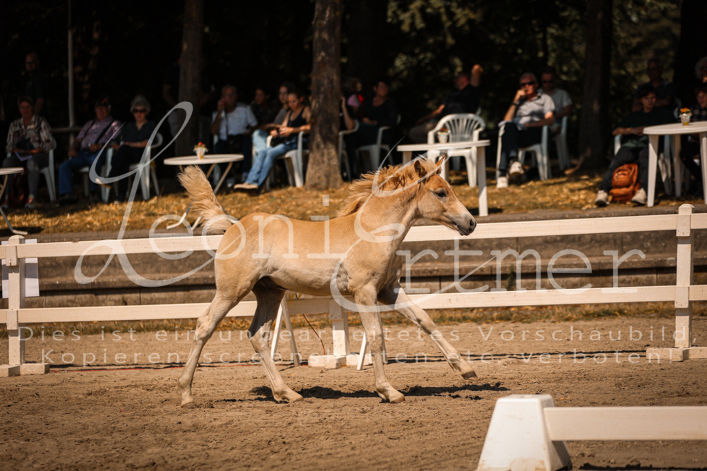 06.DoH00081 | Leoni Ertmer Photography - Realisiert mit Pictrs.com