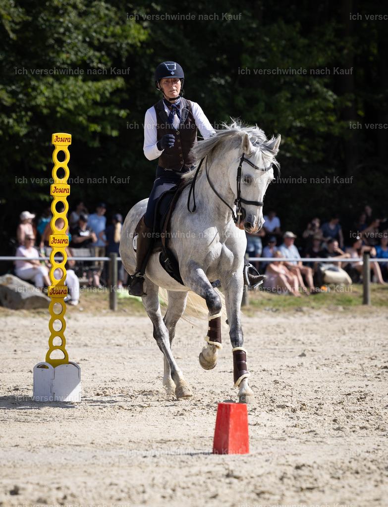 WS_SPEED_139_KerstinBernhardt-9 | working equitationturnier fotograf videograf stoibphotography marixx film working equitation deutschland reitsport turnierfotografie eventfotografie equestrian events