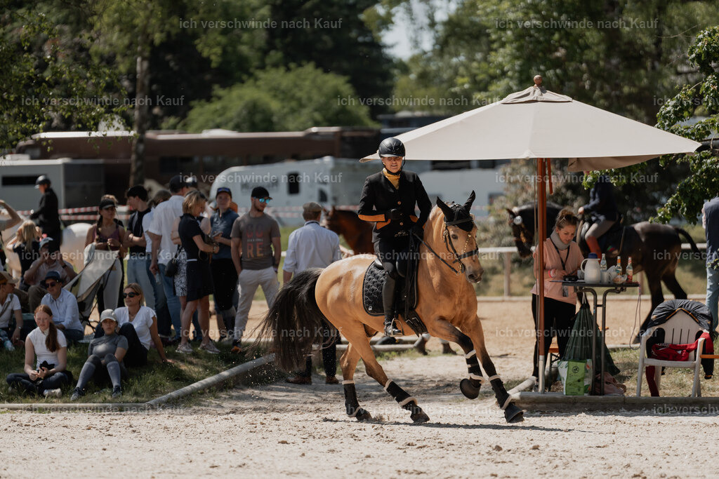 WE_SP_Stoib_319_PI2025_1740 | Pferd International München 2025