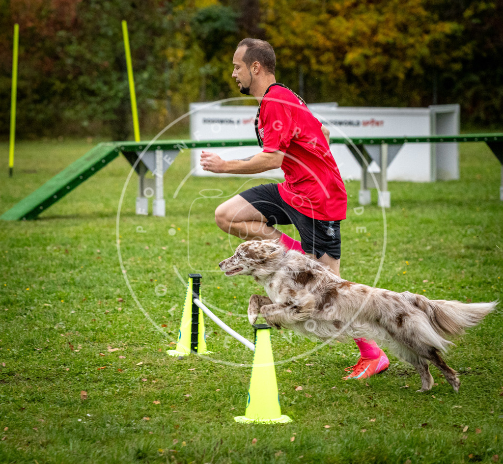 Pfotenfotografie_DV3A0976 | Hundefotografie, Tierfotograf, Pfotenfotografie, Fotoshooting Hund, Hunde Portrait, Hundesport, Hundeportraits, Heideshooting, Hunde, Sportfotograf, Hundefotograf, Turnierhundsport, THS,  - Realisiert mit Pictrs.com