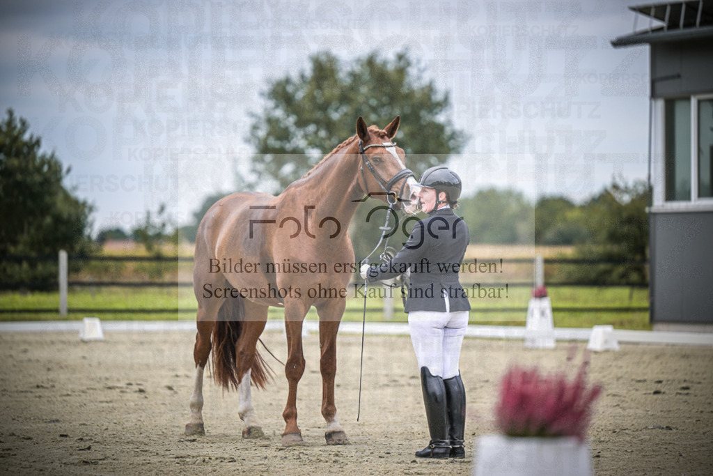 DOS_1139 | Entdecke hochwertige Reitturnierfotos von Foto Oger. Professionell, emotional und authentisch – jetzt Lieblingsmomente im Shop bestellen.Deutschlandweite Turnierfotografie. - Realisiert mit Pictrs.com