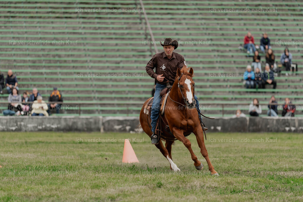 Showprogramm-491 | working equitationturnier fotograf videograf stoibphotography marixx film working equitation deutschland reitsport turnierfotografie eventfotografie equestrian events