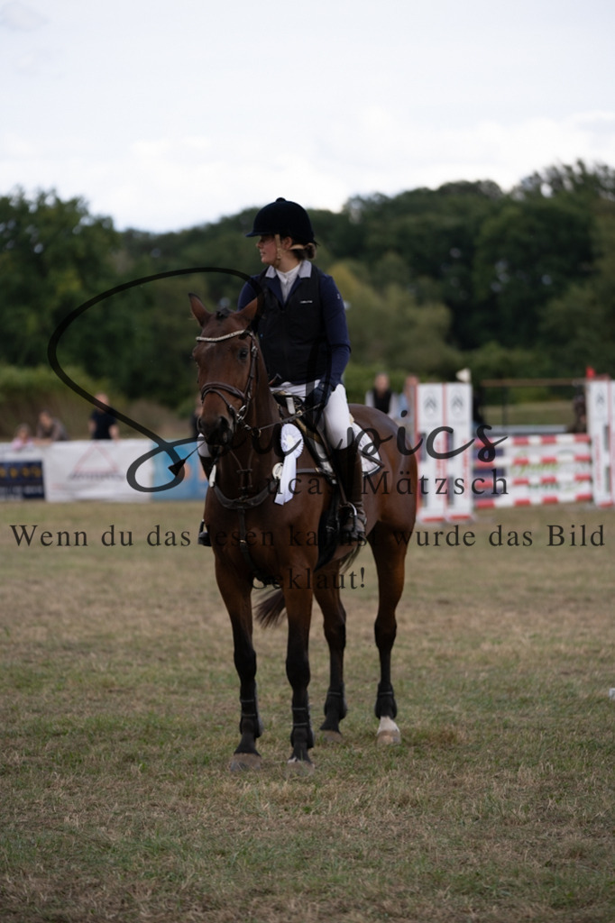 A7V09503 | Pferdefotograf