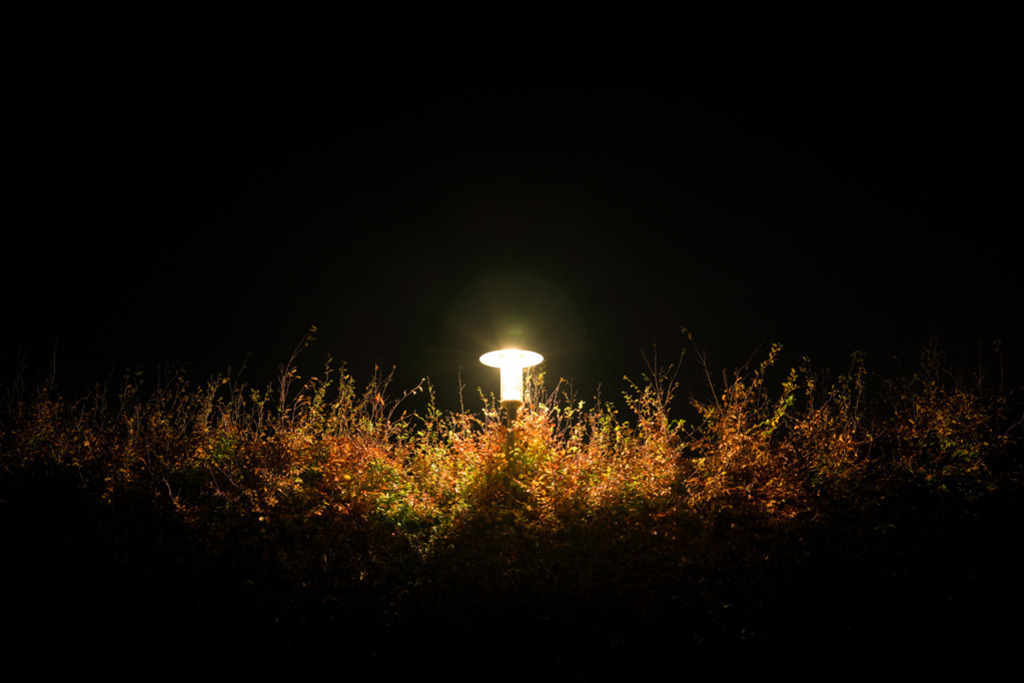 Herbstgalaxie | In der Nacht leuchtet eine Straßenlampe eine Buchenhecke partiell aus. Es erweckt den Anschein, als ob eine Galaxie im dunklen Raum schwebt. — Auflösung des Originals: 8040 x 5360 px. - Realisiert mit Pictrs.com