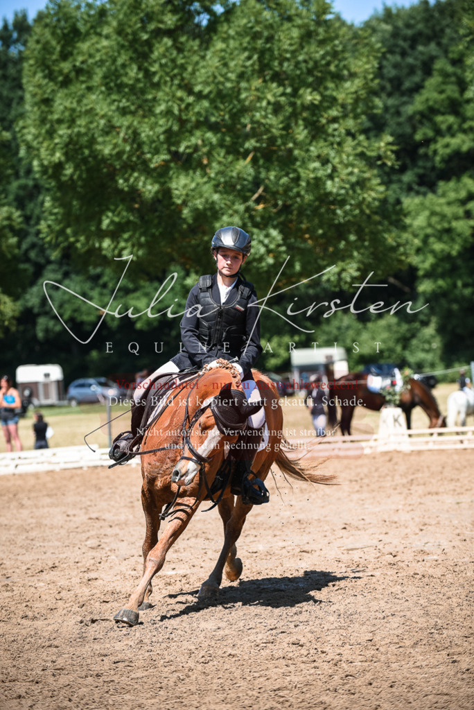 DSC_3286 | Pferde- und Turnierfotografie in Westsachsen. Pferdeportraits, Auftragszeichnungen und intuitive Kunst.