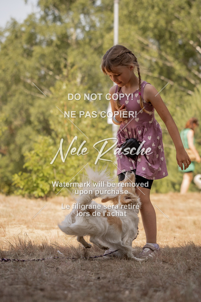 nelerasche_soDD2_288 | nelerasche