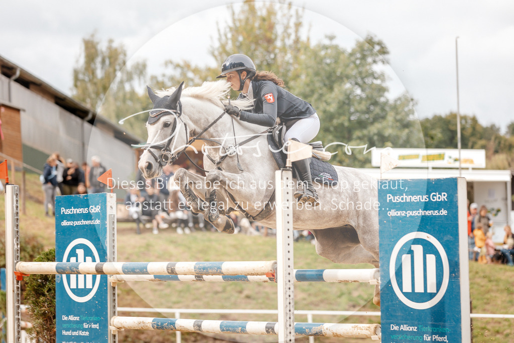 3I6A8198 | Stimmungsvolle Portraits und Reitsportfotografie im Ruhrgebiet und im Münsterland.

Pferdefotografie, Hundefotografie, Tierfotografie, Reportagen, Portraits von Tier und Mensch, Turnierfotografie in Bochum, Recklinghausen, Marl, Haltern am See, Dülmen.. - Realisiert mit Pictrs.com