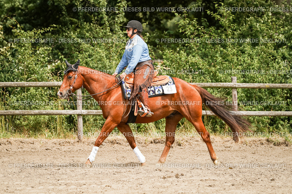 DSC00070 | Pferdegrafie