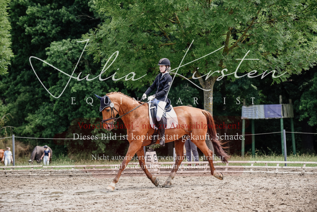 DSC_1582 | Pferde- und Turnierfotografie in Westsachsen. Pferdeportraits, Auftragszeichnungen und intuitive Kunst.