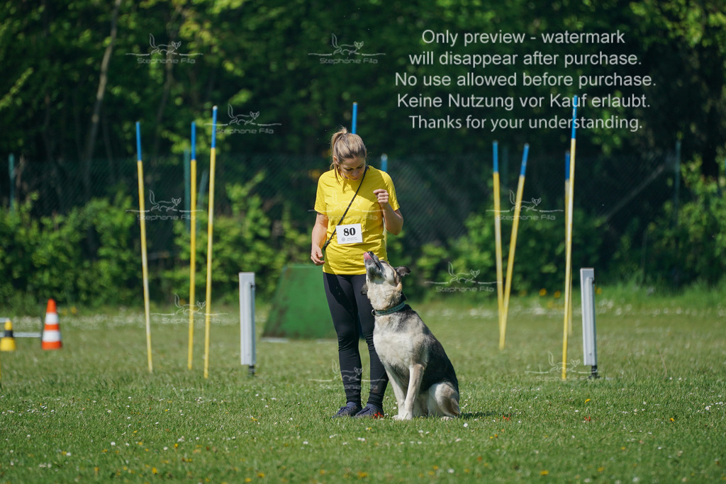 Sa_Gehorsam_Vormittag-75 | stephaniefillaphotographie - Realisiert mit Pictrs.com