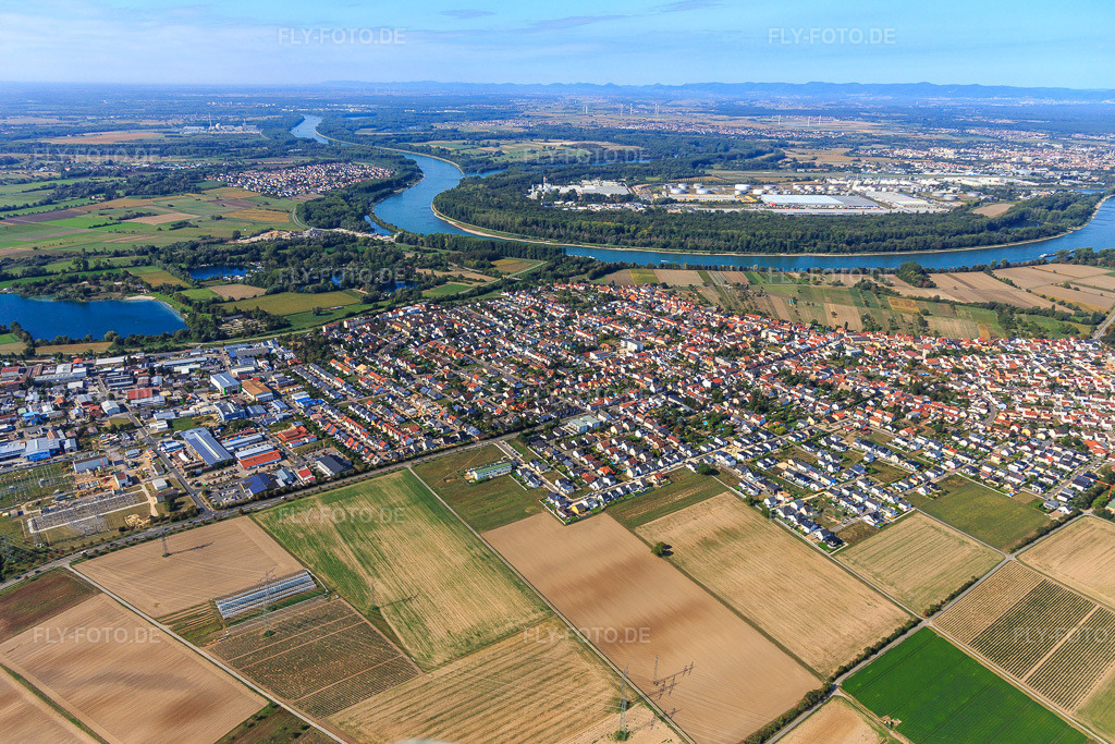 Luftbild: Fluss- Uferbereichen des Rhein in Altlußheim im Bundesland Baden-Württemberg in Deutschland. Foto: IMG_122811.jpg vom 11.09.2020 durch Werner Riehm/FLY-FOTO.de