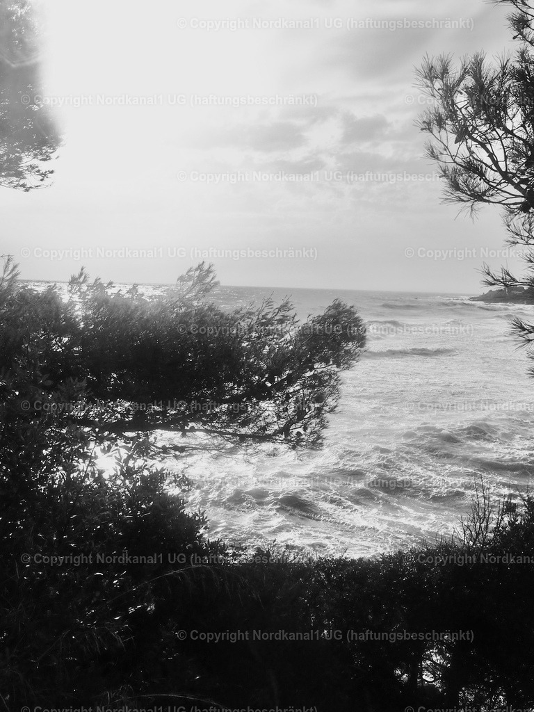 PA231964 | OLYMPUS DIGITAL CAMERA          - Realisiert mit Pictrs.com