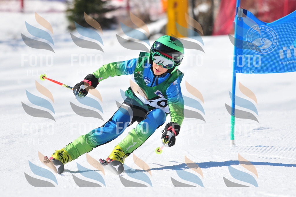 C3903 | holidayphoto