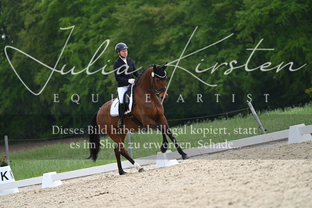 20230512_JK-Röhrsdorf-02-280 | Pferde- und Turnierfotografie in Westsachsen. Pferdeportraits, Auftragszeichnungen und intuitive Kunst.
