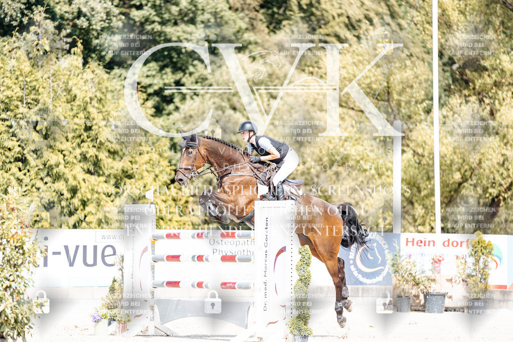CK904926 | Turnierfotografie Pferdefotografie Trier Rheinland-Pfalz Pferdesport Reitsport Tierfotografie Sportfotografie Pferdevideo Pferdevideografie Equestrianvideography equestrianphotography  - Realisiert mit Pictrs.com
