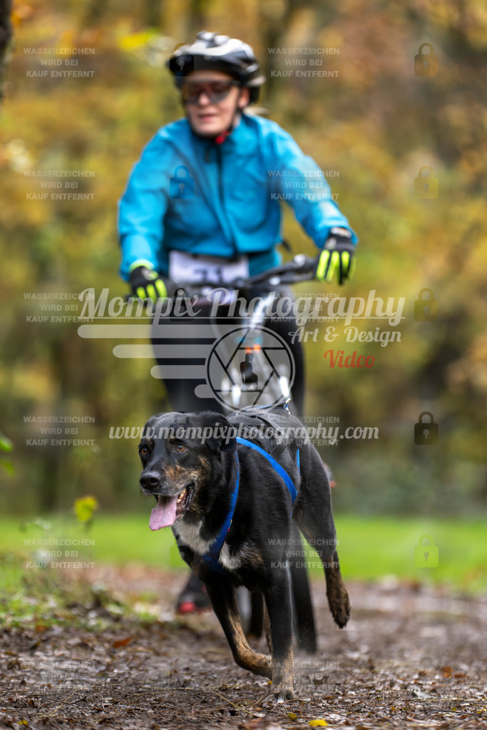 MompixPhotography_Bischwiller23_Bike-63 | mompixphotography