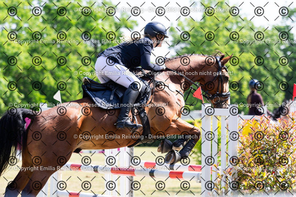 CL5A7384 | Emilia Reinking Fotografie - Realisiert mit Pictrs.com