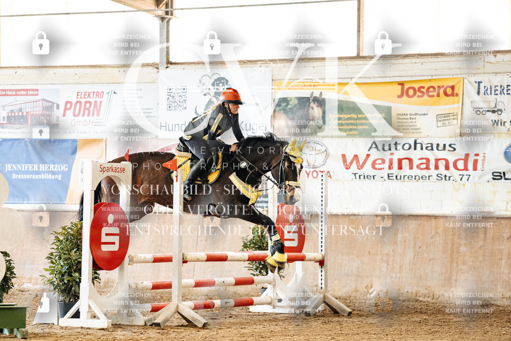 CK905383 | Turnierfotografie Pferdefotografie Trier Rheinland-Pfalz Pferdesport Reitsport Tierfotografie Sportfotografie Pferdevideo Pferdevideografie Equestrianvideography equestrianphotography  - Realized with Pictrs.com