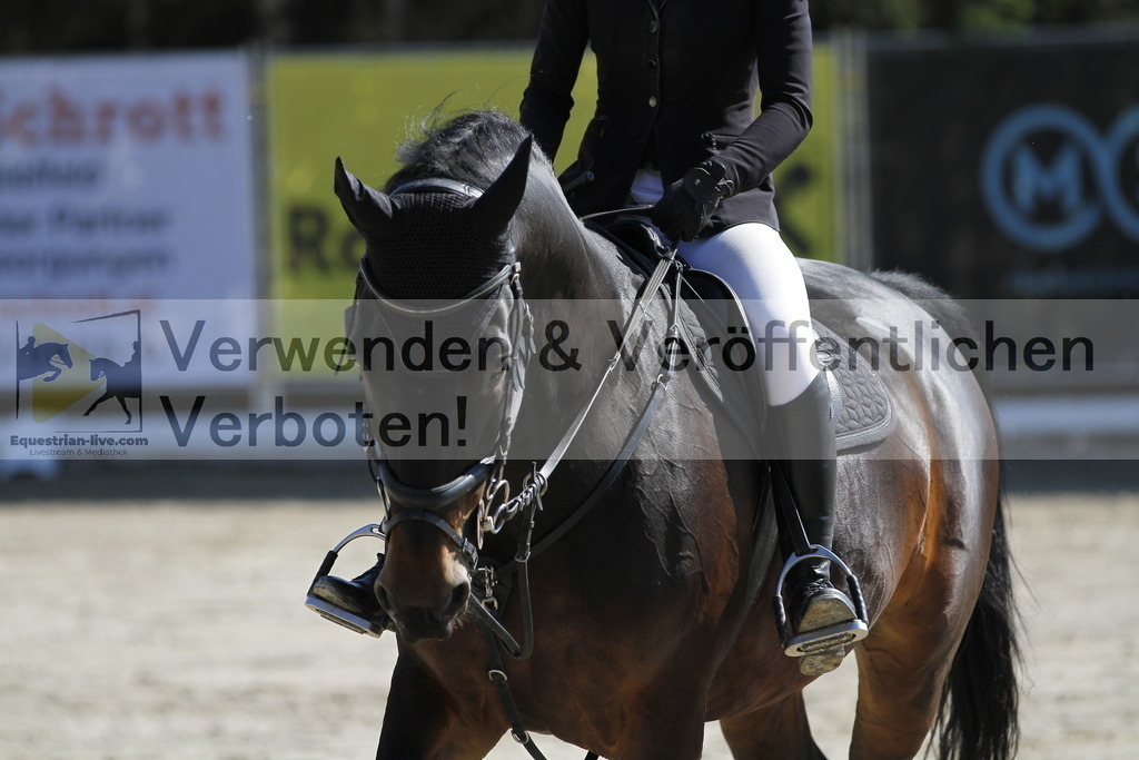 _MG_6846 | equestrian-live-com