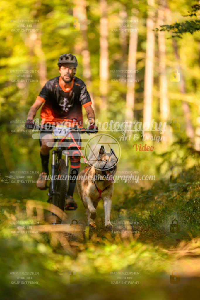 MompixPhotography_Yens2025_B2-92 | PayLife