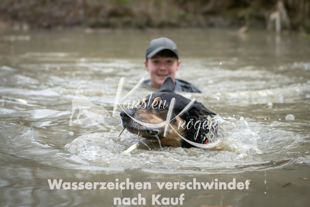 1527_ZZ93026 | kk-dogfotos