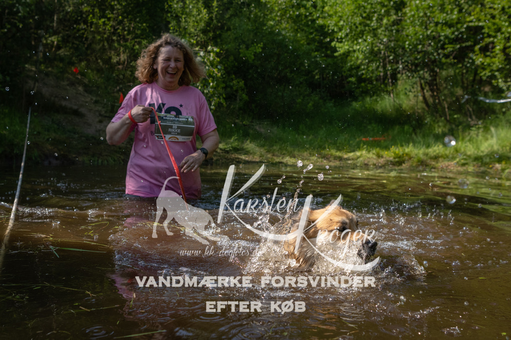 1644DKK991134 | kk-dogfotos