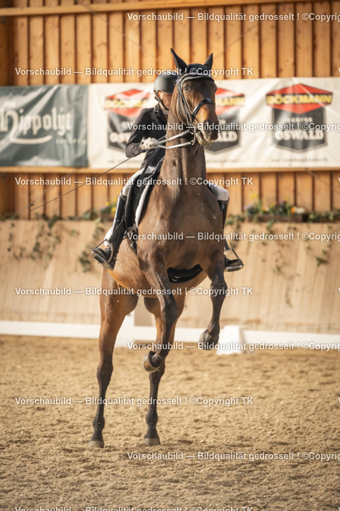 _D5A3414 | Emotionale Pferde- & People-Fotografie rund um Heidelberg, Leimen & Umgebung. Natürliche Fotos von Pferd, Mensch & Familie. Jetzt Termin sichern!