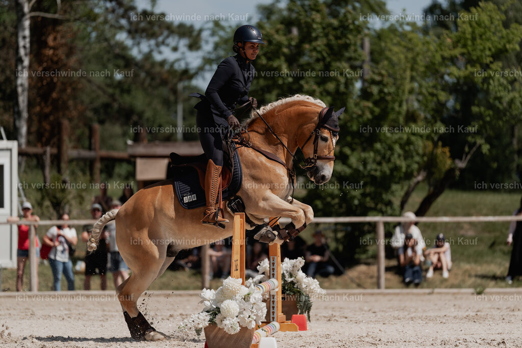 WE_SP_Stoib_308_PI2025_1607 | Pferd International München 2025