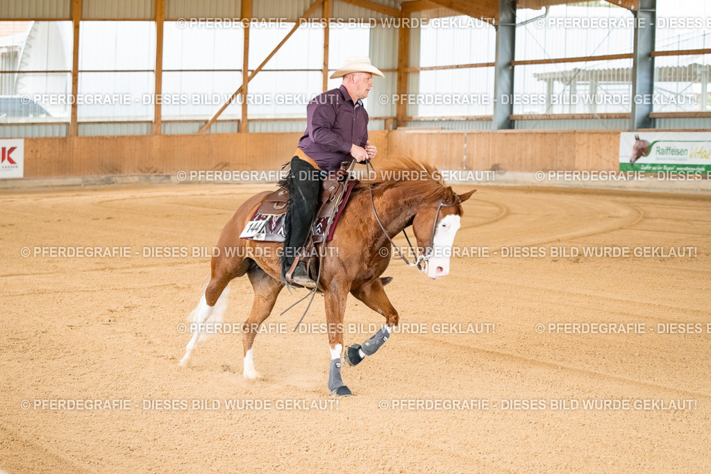 DSC01574 | Pferdegrafie