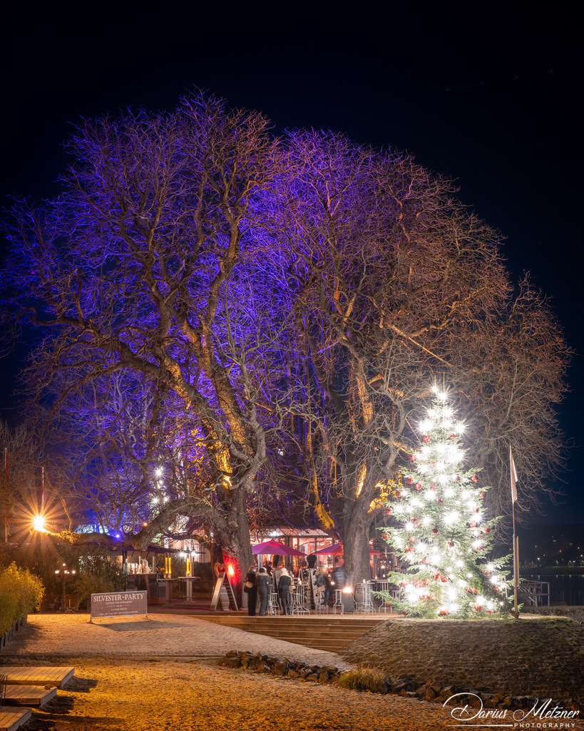 DSC_6784 2 | Fotografien, Fotos und Bilder aus Mainz, Frankfurt, Wiesbaden und anderen Orten auf der Welt - Fotografiert von Darius Metzner