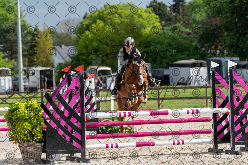 KPT_8060 | andre_photographic